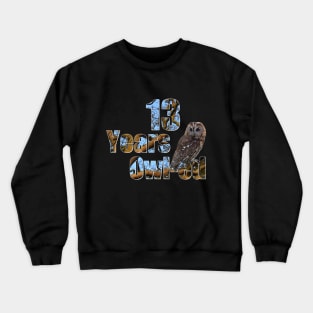 13 years owl-ed (13 years old) teen 13th birthday Crewneck Sweatshirt